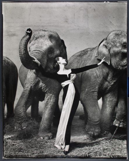 アート・デザイン・音楽 the history of fashion photography アート・デザイン・音楽 the history of fashion photography Fashion